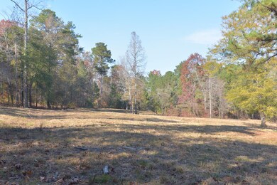 1080 Waterstone Dr, Madison, GA 30650 - photo 6