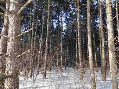 85 Acres Century Rd, Loyal, WI 54446 - photo 2