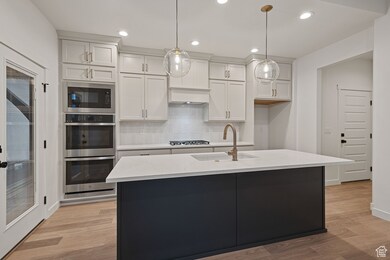 Gourmet Kitchen featuring tasteful backsplash, recessed lighting, white cabinets, light wood-style flooring, built in range, wood hood, and appliances with stainless steel finishes