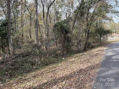 000 Tanglewood Ln, Great Falls, SC 29055 - photo 2