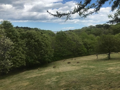 20 Wood Duck Way, Oak Bluffs, MA 02557 - photo 2