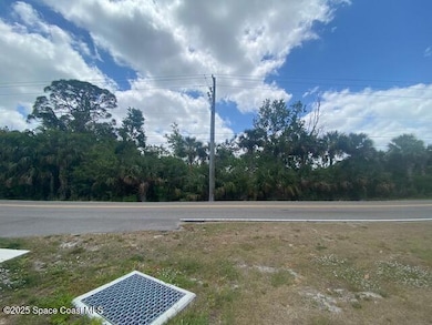 Tbd Canaveral Groves Blvd, Cocoa, FL 32926 - photo 2