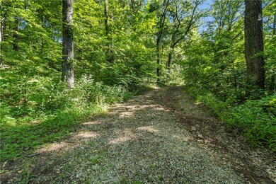 11808 Devils Den Rd, Winslow, AR 72959 - photo 4
