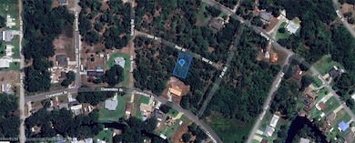 1426 Stall St, Lake Placid, FL 33852 - photo 4