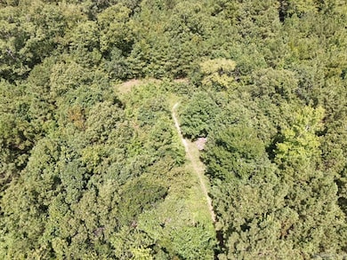 0 Chris Ln unit 25028271, Amity, AR 71921 - photo 6