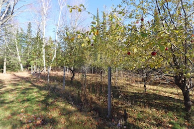 18140 State Highway 13, Herbster, WI 54844 - photo 5