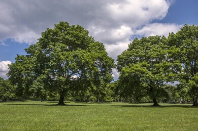 21 Upper Cross Rd, Greenwich, CT 06831 - photo 7