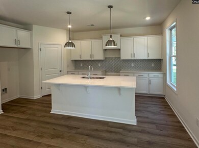 530 Griffon Dr, Chapin, SC 29036 - photo 6