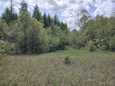 TBD Dunham Rd, Marenisco, MI 49947 - photo 3