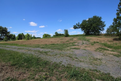 4773 McMinnville Hwy, Smithville, TN 37166 - photo 2