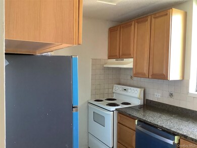 Woodner House Condominiums unit 9DA, Flushing, NY 11355 - photo 5