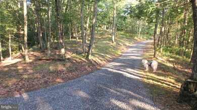 LOT 258 Nathaniel Mountain Rd, Moorefield, WV 26836 - photo 6