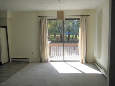 241 Lookout Dr, Albrightsville, PA 18210 - photo 7