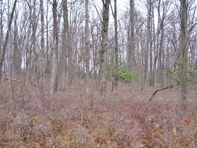 Lot 7 Woodlyn Acres Rd, Berlin Township, PA 18428 - photo 3