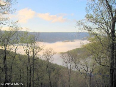 3904 Preserve Rd, Maysville, WV 26833 - photo 6