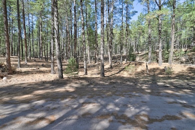 Lot B Lands of Hotch Fr 10, Jemez Springs, NM 87025 - photo 6