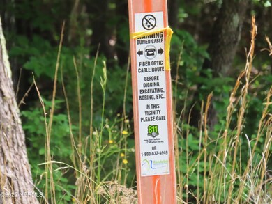 0 Mt Lebanon unit 100339333, Troy, NC 27371 - photo 5