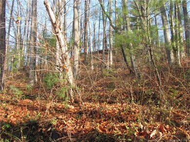 00 Sandpiper Palisades St unit 98, Hendersonville, NC 28792 - photo 3