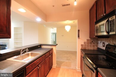 3307 Sir Thomas Dr unit 13, Silver Spring, MD 20904 - photo 4