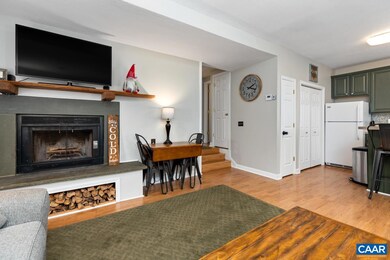 443 Three Ridges, Wintergreen Resort, VA 22967 - photo 4