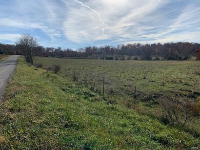 11320 County Road 2140, Rolla, MO 65401 - photo 7