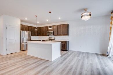 205 Tinana St, Oswego, IL 60543 - photo 7