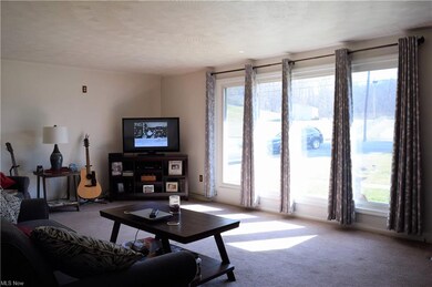 16165 Annesley Rd, East Liverpool, OH 43920 - photo 4