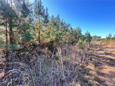 7399 Burney Rd, White Oak, NC 28399 - photo 5