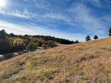 Lot 34 Prairie View Rd unit Dakota Highland Esta, Whitewood, SD 57793 - photo 3
