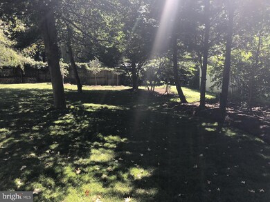 517 Meridian St, Falls Church, VA 22046 - photo 6