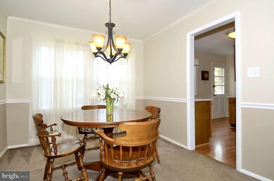 2225 Primrose Dr, Falls Church, VA 22046 - photo 6