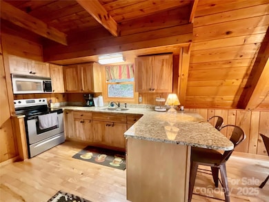 233 Cherry, Boone, NC 28607 - photo 5