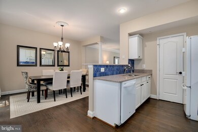 9828 Darcy Forest Dr, Silver Spring, MD 20910 - photo 7