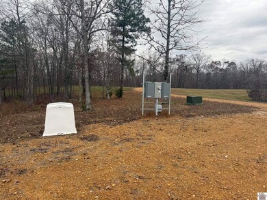 250 Cindy Dr, Murray, KY 42071 - photo 6