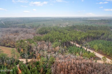 XXX White Rd unit 1.14 Acres, Chipley, FL 32428 - photo 7