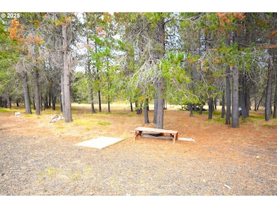 64955 Old Oregon, Pendleton, OR 97801 - photo 5