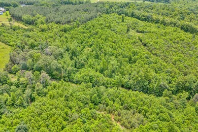 03-DJI_20250602133553_0040