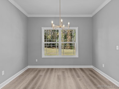 247 County Road 166, New Brockton, AL 36351 - photo 6