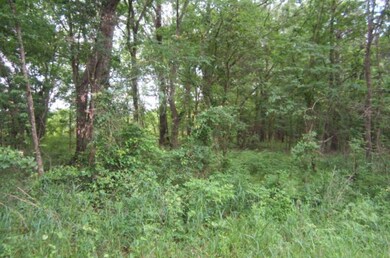 00 Highway 471 unit 4, Brandon, MS 39047 - photo 4