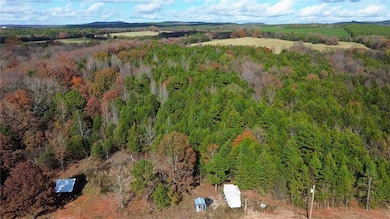 9943 Rough Branch Rd, Mulberry, AR 72947 - photo 7