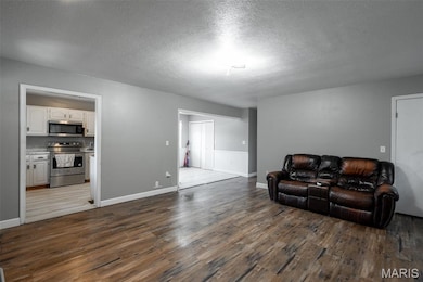 205 Batson Lake Ln, Poplar Bluff, MO 63901 - photo 6