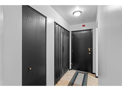 Irvine Hill Condominiums unit 301, Saint Paul, MN 55102 - photo 3