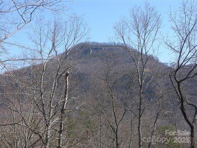 0 Roundabout Rd unit 35 CAR4252951, Lake Lure, NC 28746 - photo 5