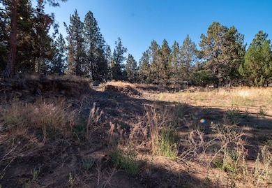 61317 Larry St, Bend, OR 97702 - photo 6