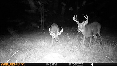 . Mcmillan Rd, Osyka, MS 39657 - photo 7