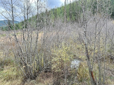 Marsh around Burnt Point Creek