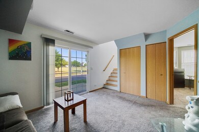 221 W Washington St unit 3258, Oswego, IL 60543 - photo 6