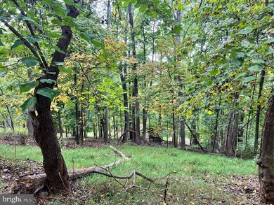Lot #5 Bridle Path Rd, Front Royal, VA 22630 - photo 4