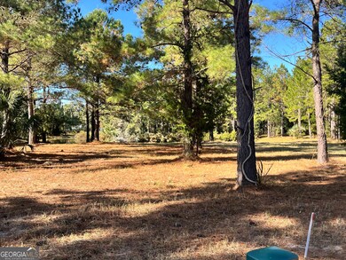 LOT 527 Beacon Pointe Pkwy, Waverly, GA 31565 - photo 4