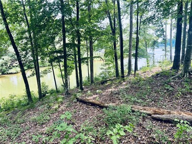 22 Waterside Point, Abbeville, SC 29620 - photo 6